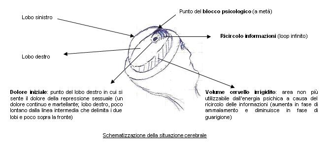 it_03_Cervello